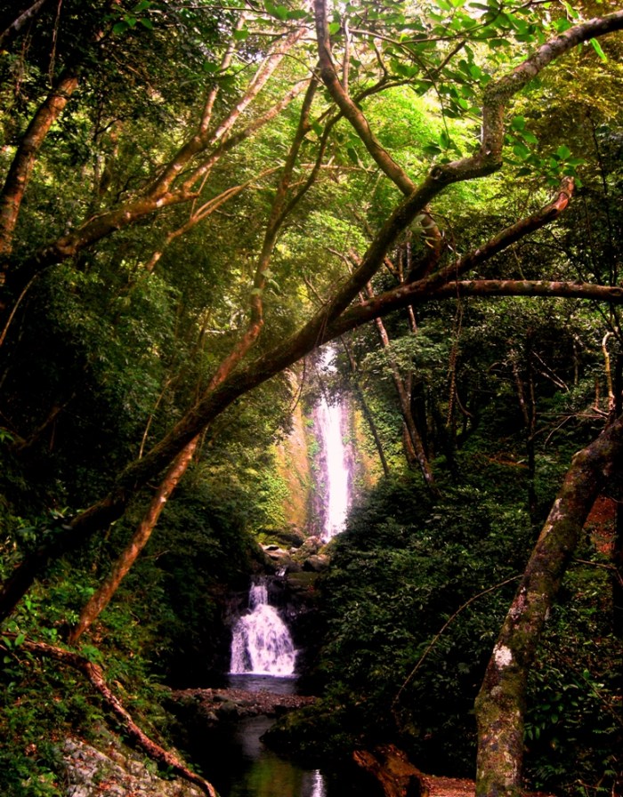 Think of your life as a waterfall; it may come crashing down at some point, it may have it's ups and downs, but in the end, it will continue to flow.  --Unknown