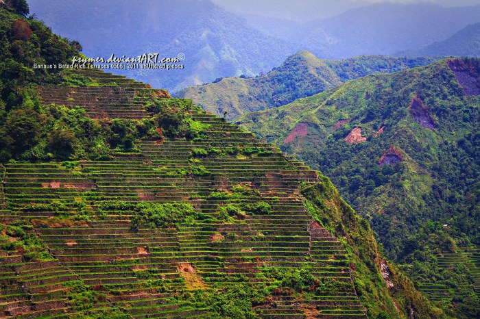 Batad Rice Terraces - click on the image for a full view