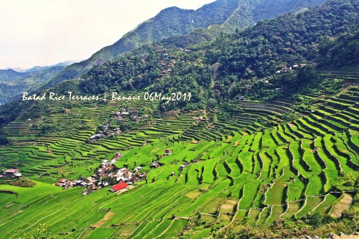 Batad's amphitheater-like terraces--a view from Batad's Highest Point! [click on image for a full view]