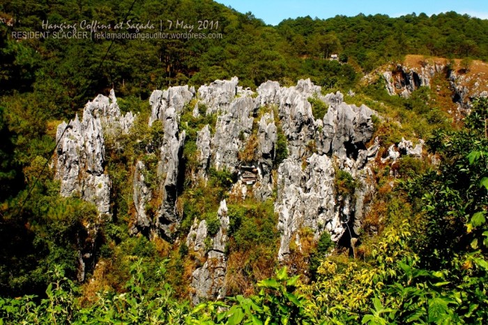 Hanging Coffins (a view from the side of the road)
