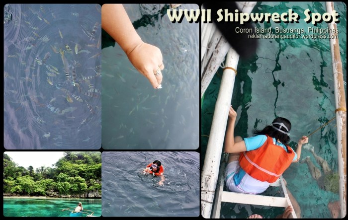 WWII Shipwreck Spot | Coron, Philippines