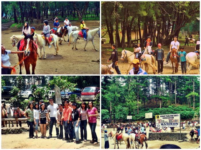 Wright Park --click on image for a full view :)