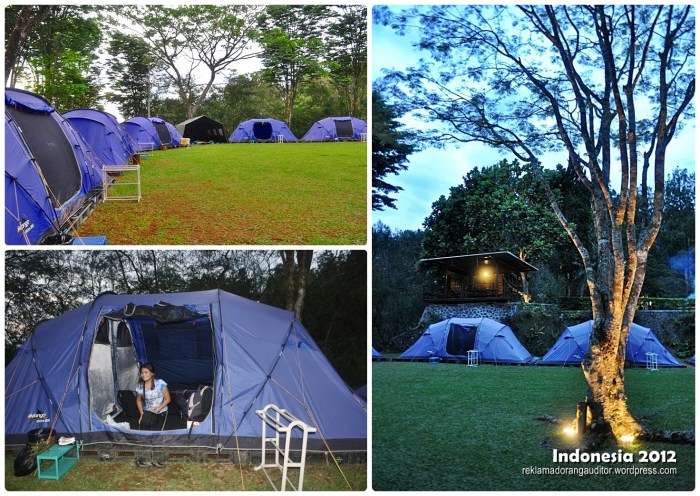 The Campsite  --click on image for a full view :)