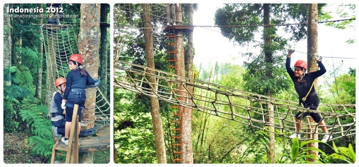 Dare 1  --click on image for a full view :)