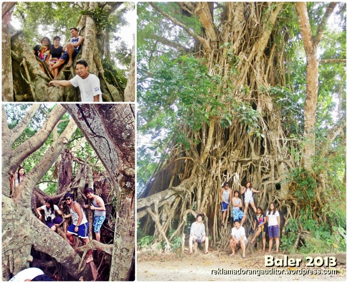 Balete Tree and Us  --click on image for a full view :)
