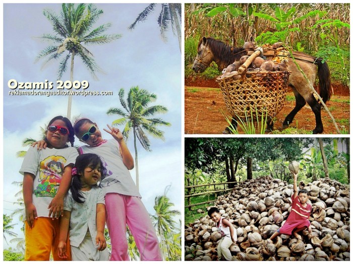 Ozamis 2009  --click on image for a full view :)