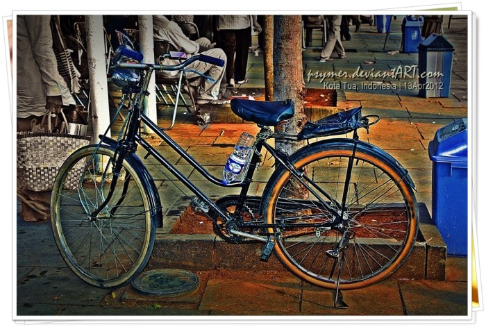 "The bicycle is a curious vehicle. Its passenger is its engine." ---John Howard 