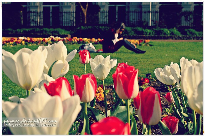 Fleeting Spring  --click on image for a full view