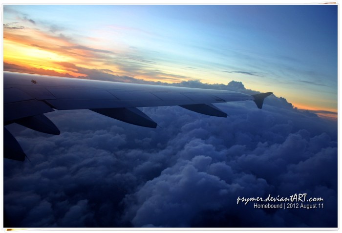 Paseo Final06_Homebound