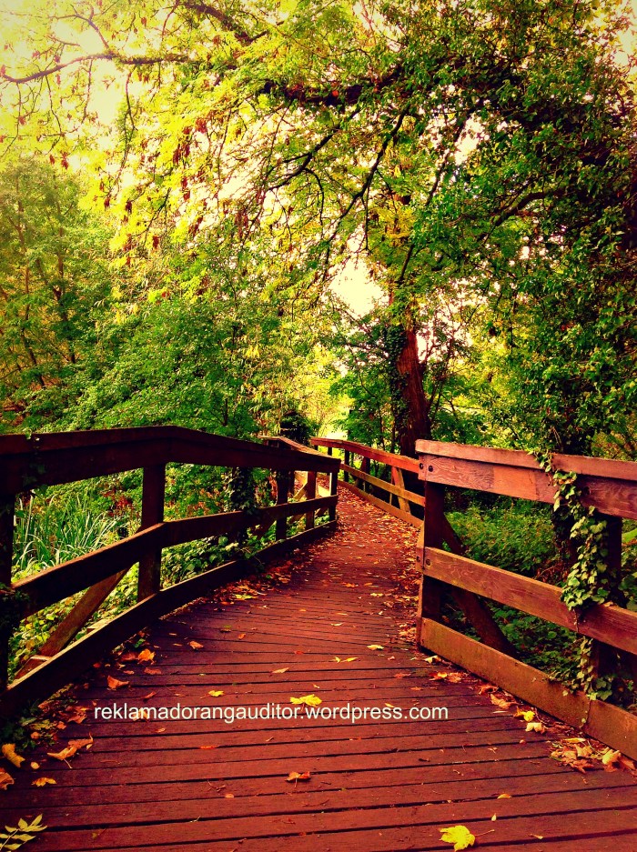 Made with Repix (http://repix.it)