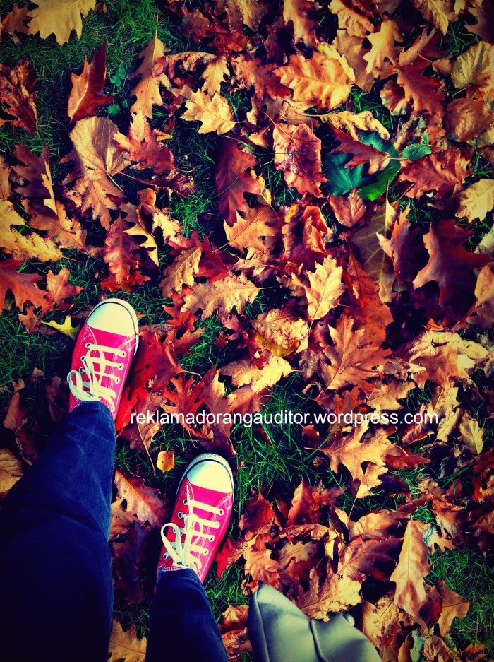 Made with Repix (http://repix.it)