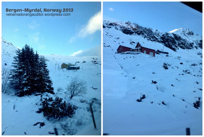 Bergen-Myrdal In Transit (Norway) --click on image for a full view :)