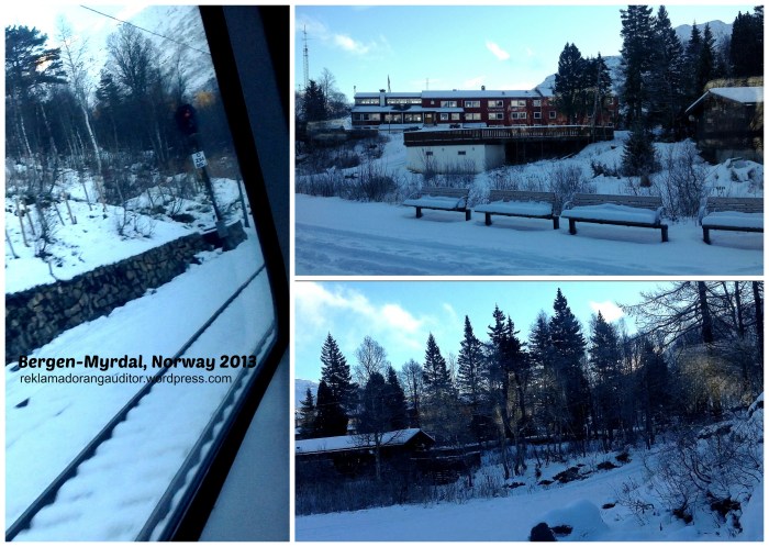 Bergen-Myrdal In Transit (Norway) --click on image for a full view :)