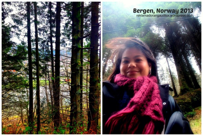 Bergen, Norway --click on image for a full view :)