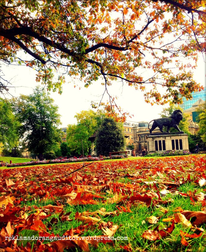 Autumn's Pretty Mess