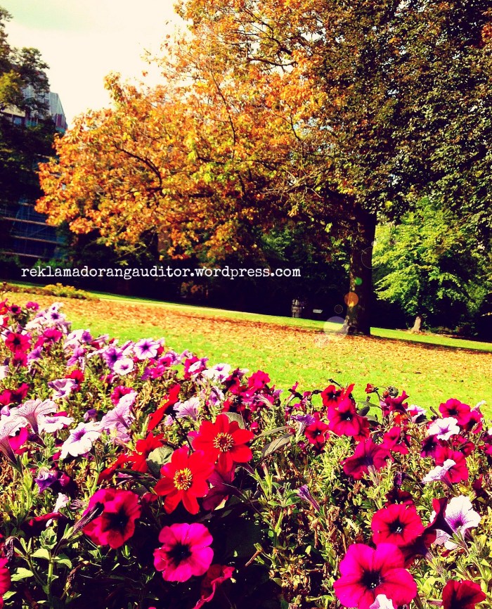 Faith in Uncertainty