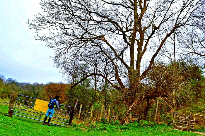 Devil's Dyke_01