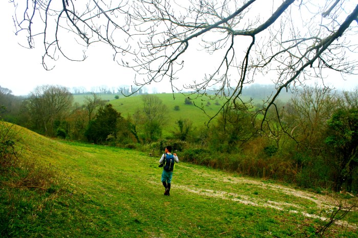 Devil's Dyke_14